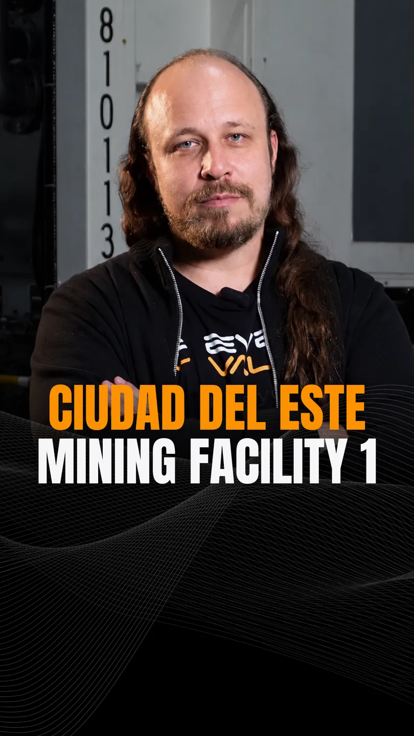 Pôster: Ciudad del Este (Unidade I)